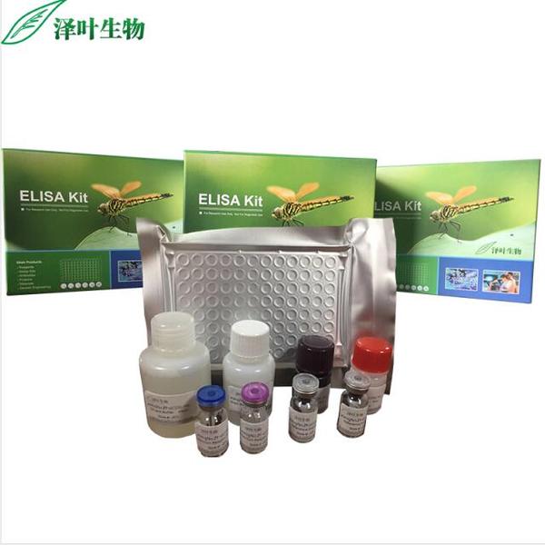 NID2试剂盒； 人巢蛋白2检测试剂盒（ELISA方法）