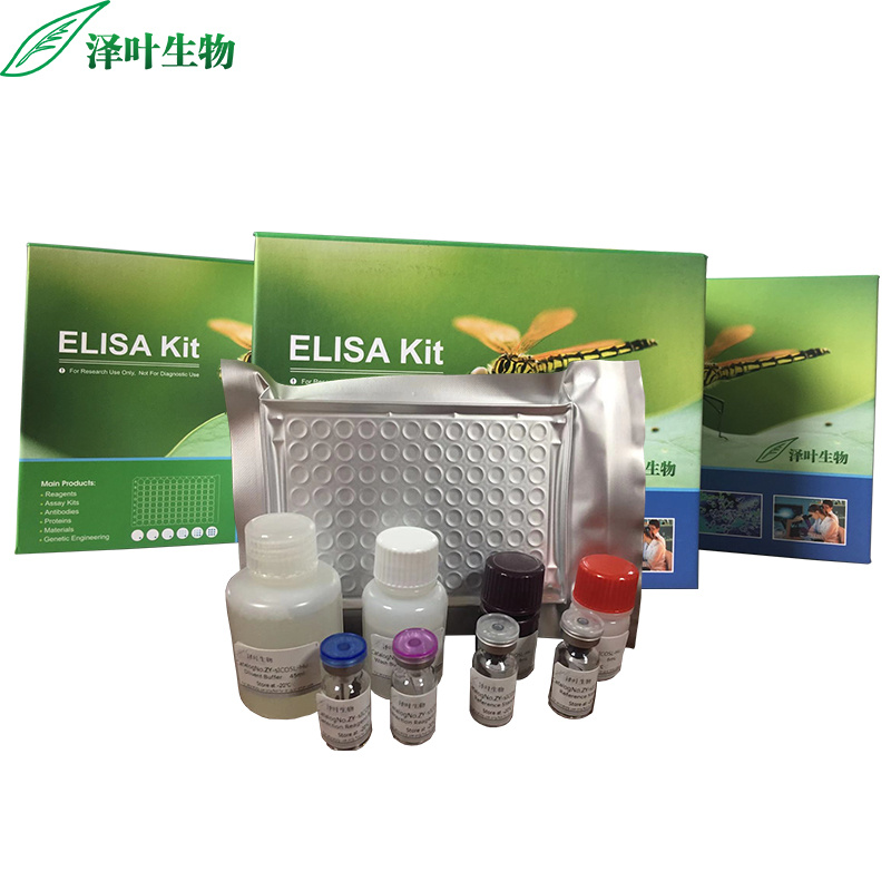 OGG1试剂盒；人8-羟基鸟嘌呤糖苷酶1检测试剂盒（ELISA方法）
