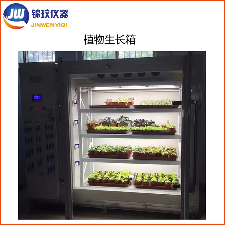 锦玟DRX-680多光色低温冷光源植物生长箱（带湿度控制）