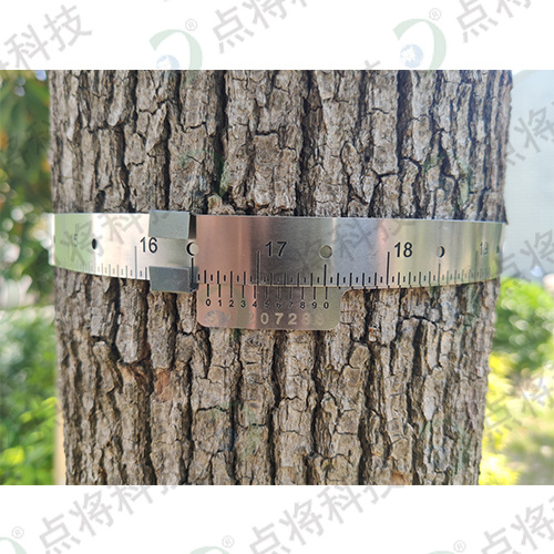 D型树木胸径生长测量环