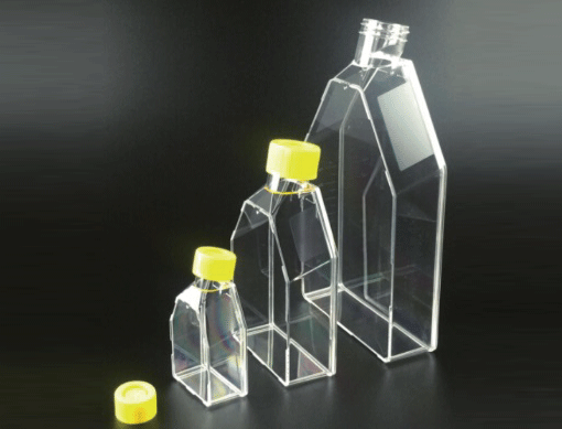 爱必信 25cm2细胞培养瓶（50ml，密封盖） 培养瓶