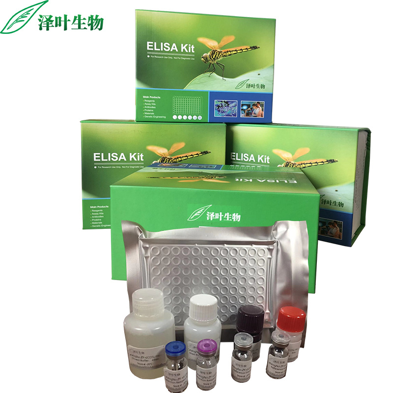 CDH5试剂盒；人血管内皮钙黏蛋白检测试剂盒（ELISA方法）