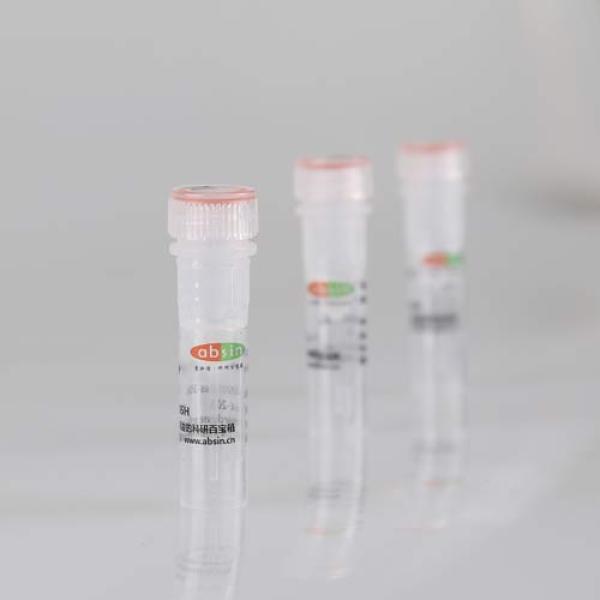 SYBR One-Step qRT-PCR Kit