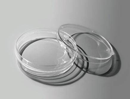 爱必信 细胞培养皿（60mm） 培养皿