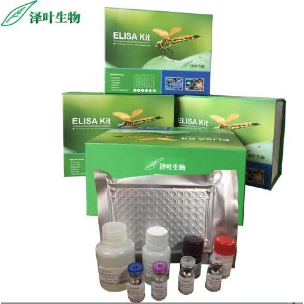 AhR试剂盒； 人芳香烃受体检测试剂盒（ELISA方法）