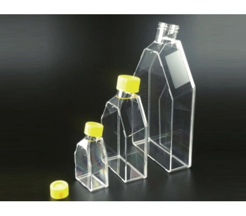 爱必信 75cm2细胞培养瓶（250ml，密封盖） 培养瓶