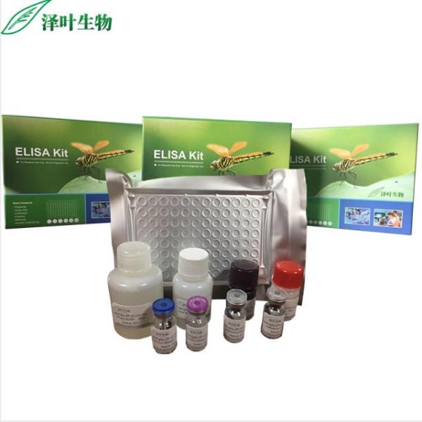 DSC1试剂盒；人桥粒芯胶粘蛋白1检测试剂盒（ELISA方法）