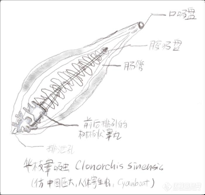  三文鱼，需要怎样确认才可以吃？