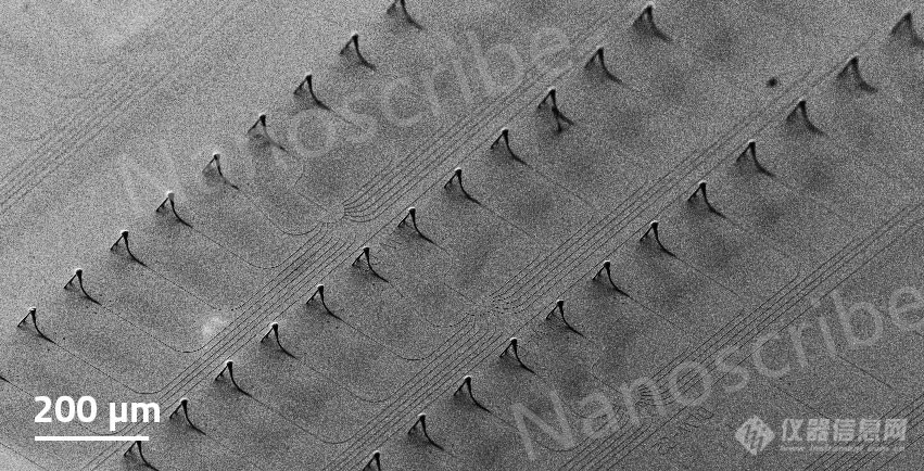 Nanoscribe微纳3D打印技术应用于光子集成芯片到光纤的3D对接耦合器研发