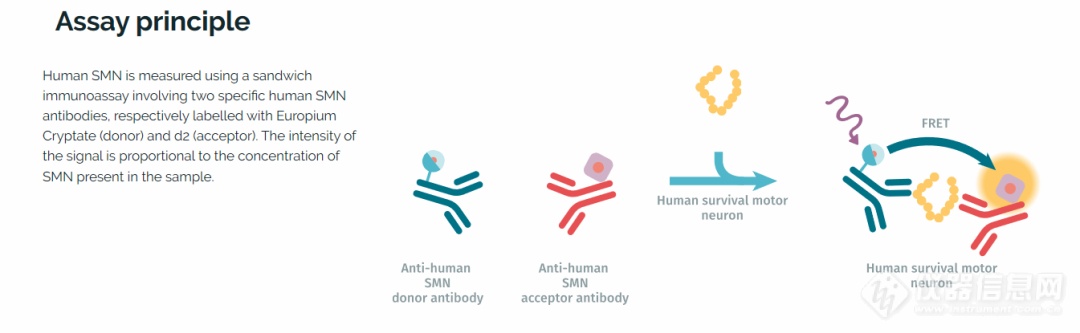 脊髓性肌萎缩症SMN | 看HTRF如何大显身手