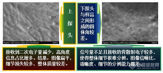 易轻忽之肯綮：扫描电镜工作距离与探头的选择（上）——安徽大学林中清32载经验谈（9）