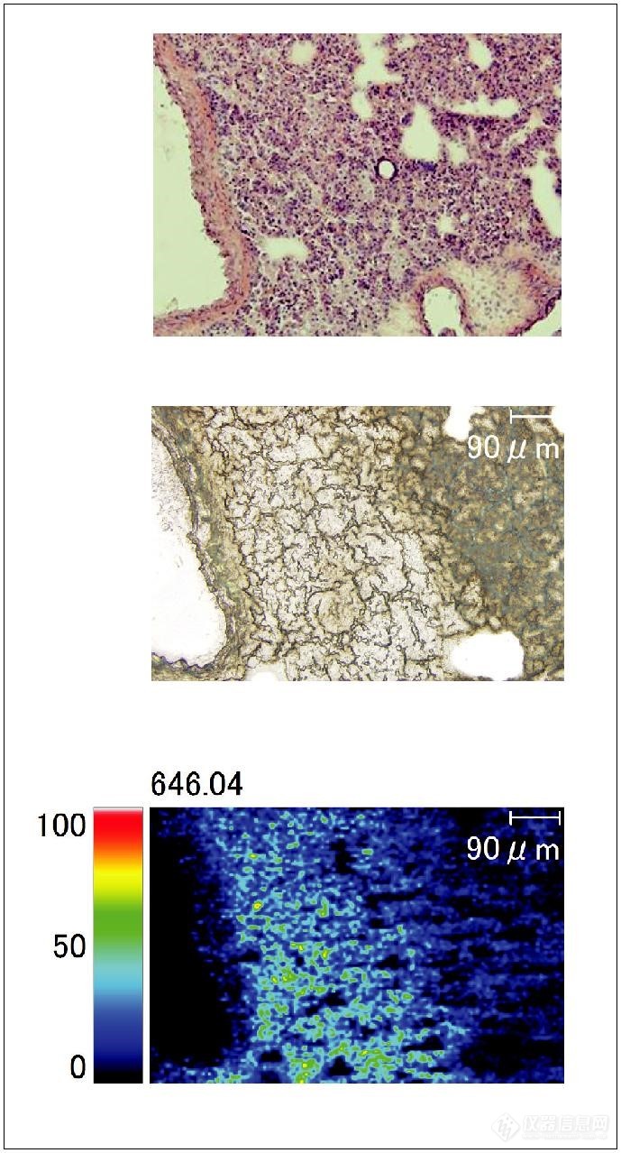 使用 iMScope TRIO 进行的毒性评价研究 