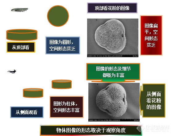 易轻忽之肯綮：扫描电镜工作距离与探头的选择（上）——安徽大学林中清32载经验谈（9）