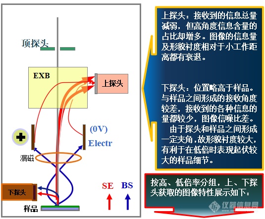 易轻忽之肯綮：扫描电镜工作距离与探头的选择（上）——安徽大学林中清32载经验谈（9）