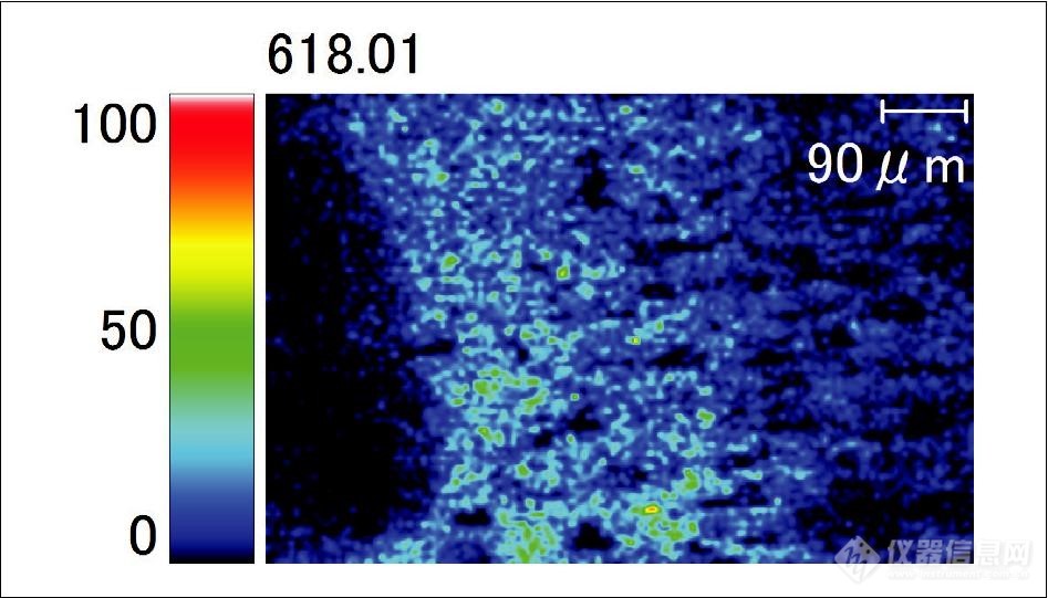 使用 iMScope TRIO 进行的毒性评价研究 