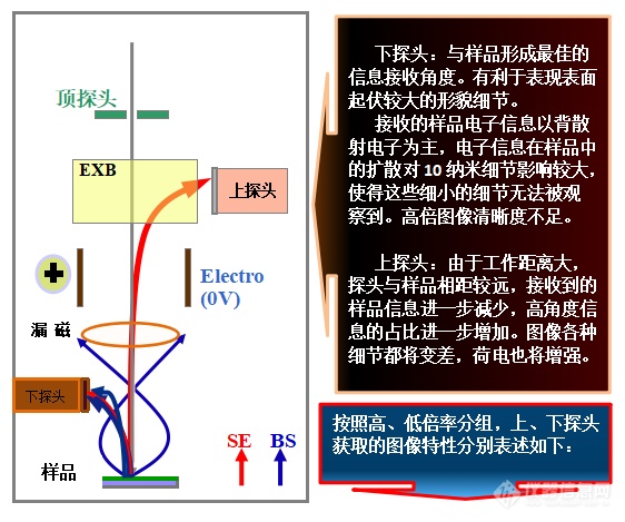 易轻忽之肯綮：扫描电镜工作距离与探头的选择（上）——安徽大学林中清32载经验谈（9）