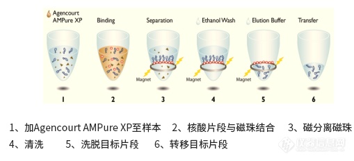 样本制备，如何回收高质量核酸？