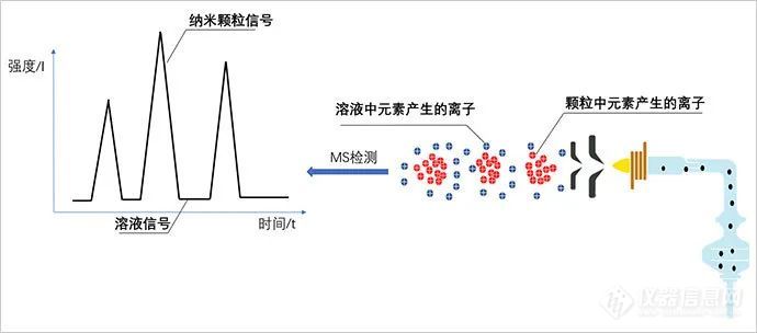 ICPMS-2030:单纳米颗粒分析一探究竟!