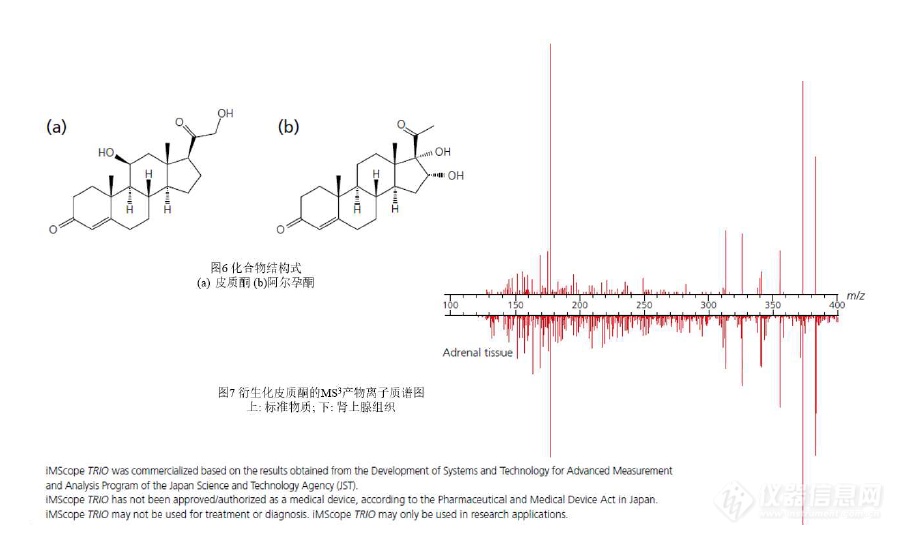 基于质谱成像的大鼠肾上腺组织中衍生化皮质酮的分析