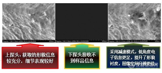 易轻忽之肯綮：扫描电镜工作距离与探头的选择（上）——安徽大学林中清32载经验谈（9）