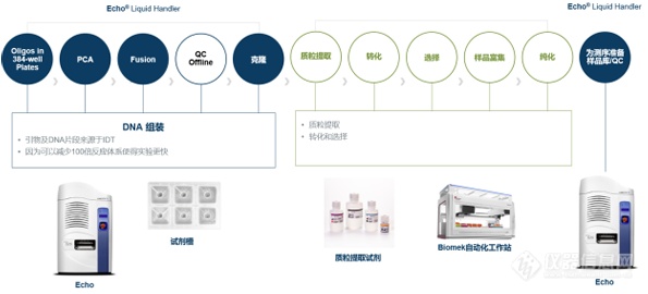 工欲善其事，必先利其器——基因编辑工具的开发