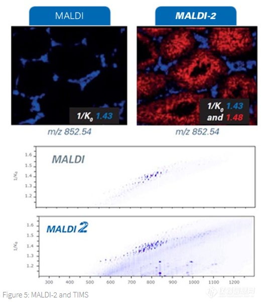 布鲁克发布Bruker timsTOF fleX with MALDI-2新品