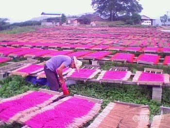 佛香烘干除湿机