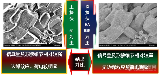 易轻忽之肯綮：扫描电镜工作距离与探头的选择（上）——安徽大学林中清32载经验谈（9）