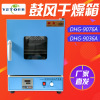 上海叶拓 DHG-9076A立式电热鼓风干燥箱