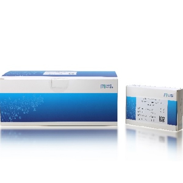 MGISEQ-2000RS 高通量测序试剂套装