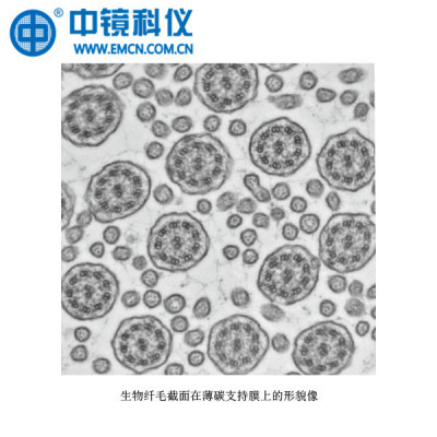 中镜科仪 100至400目国产铜网薄碳支持膜