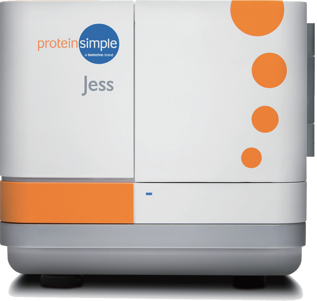 Jess多功能全自动蛋白质表达定量分析系统