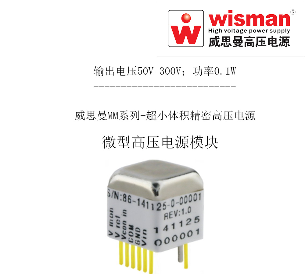 威思曼模块高压电源模块MM 0.3kv/0.1w