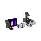扫描光场显微镜SLiM1000