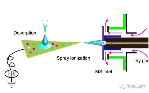 张峰团队成功研发出新型敞开式质谱离子源