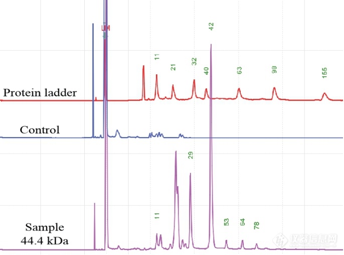 图2 Qsep系列检测蛋白性质（上）、抗体纯度（左下）和蛋白大小（右下）3.jpg