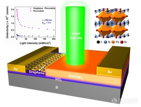 高灵敏度钙钛矿单晶-石墨烯复合垂直结构光电探测器.jpg