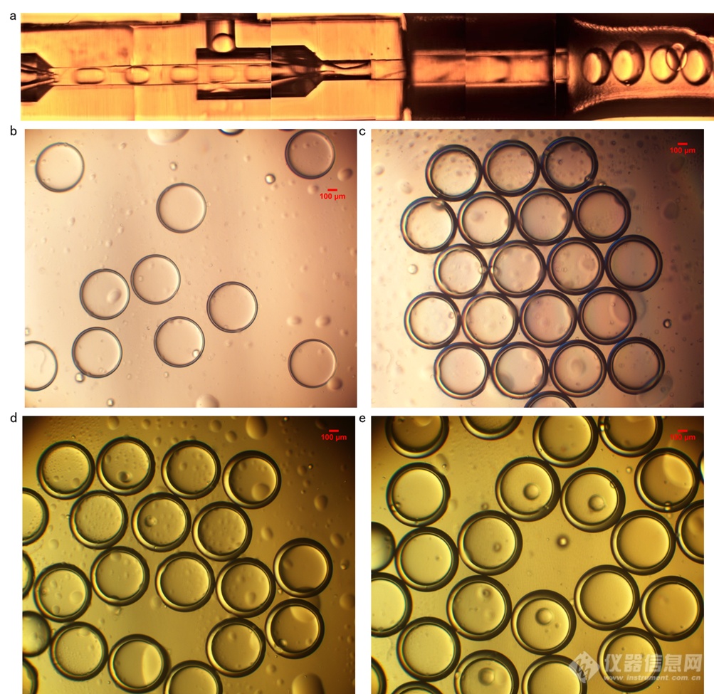 《Journal of Food Engineering》：利用微纳微尺度3D打印技术制备微流控液滴生成芯片