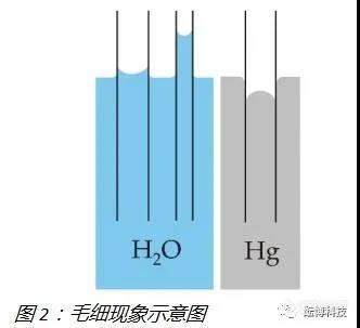 22微信图片_20200721163415.jpg