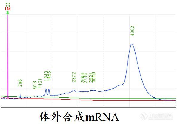 图3 Qsep系列检测核酸适配体（左）和mRNA（右）2.jpg