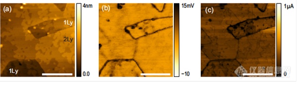 SILICON SEMICONDUCTOR I 高真空对于电扫描探针显微镜的优势