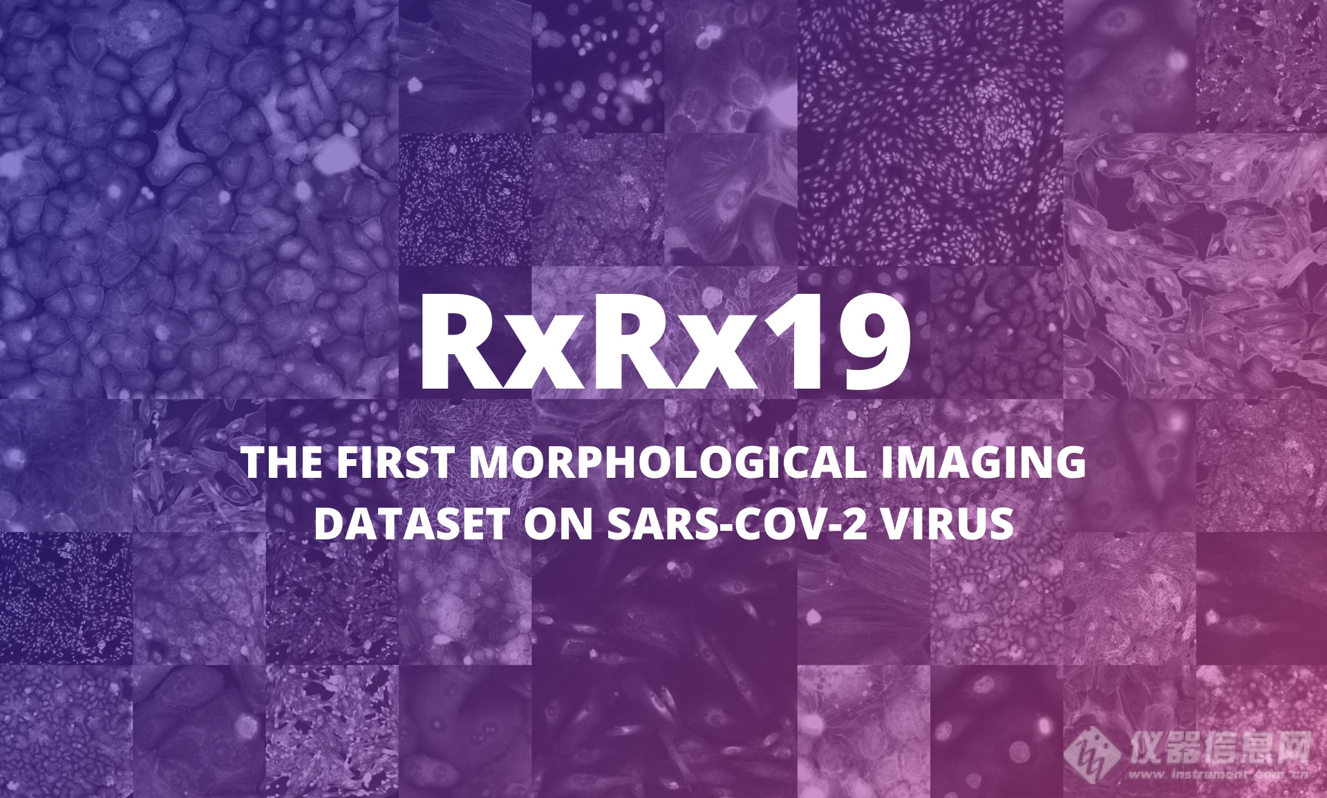 RxRx19_ The First Morphological Imaging Dataset on SARS-CoV-2 Virus.png