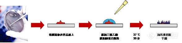 MALDImini-1迷你数字离子阱质谱仪快速鉴定芽孢杆菌