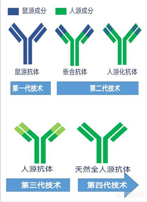 兔抗eif2ak1多克隆抗体