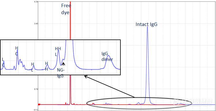图2 Qsep系列检测蛋白性质（上）、抗体纯度（左下）和蛋白大小（右下）2.jpg