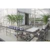室内植物表型成像系统WIWAM conveyor