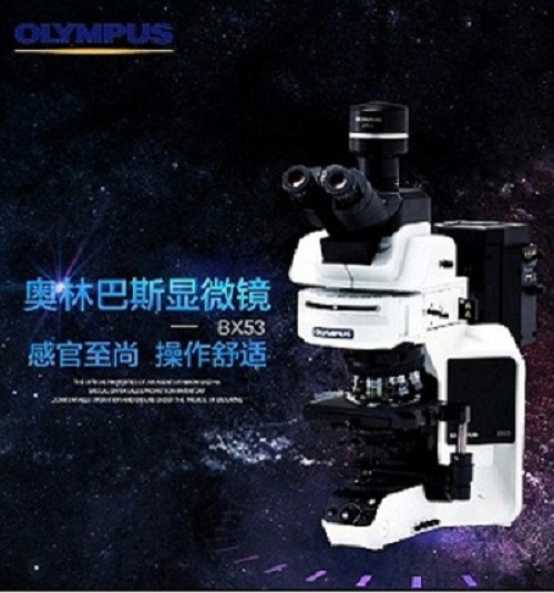 BX53 生物显微镜