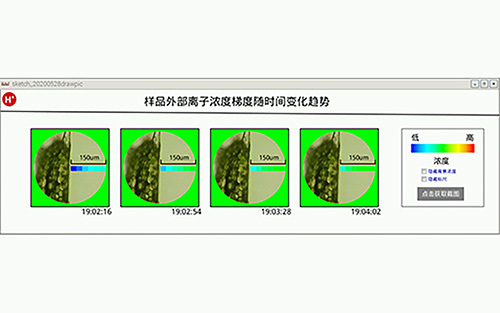 Gradraw®硝盐吸收成像仪