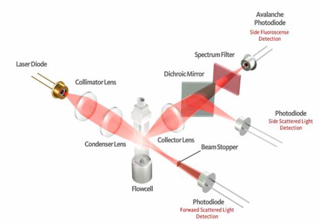 希森美康XN-1000V系列全自动五分类血液体液分析仪