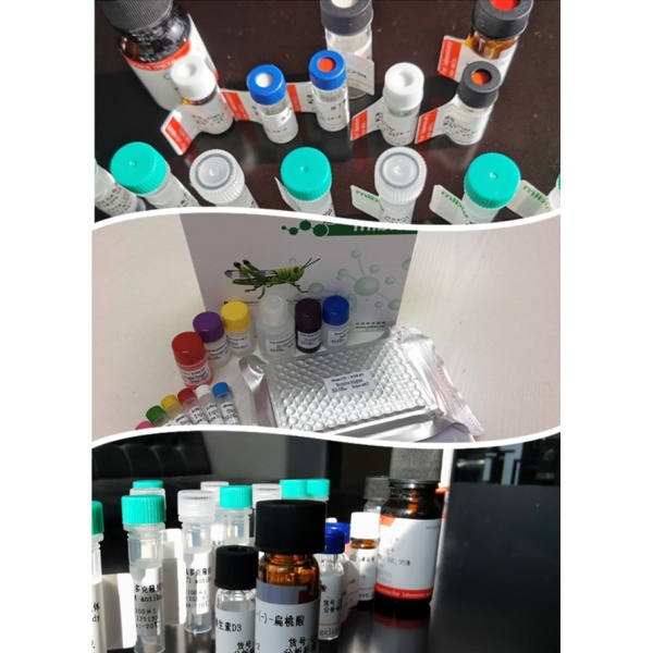 亲和纯化抗体洗脱浓缩试剂盒